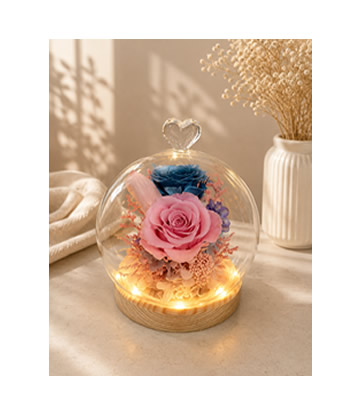 Pink & Moonlight Blue Dome